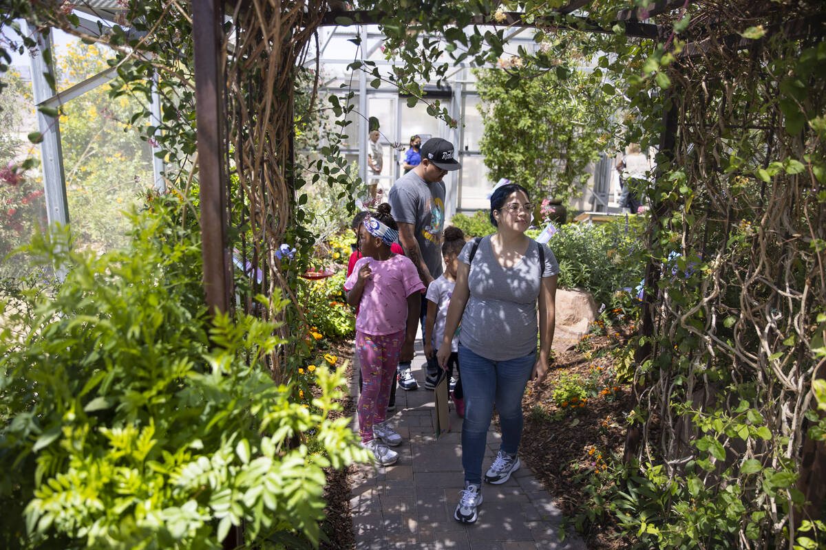 People walk inside of the butterfly habitat during an Earth Day celebration at Springs Preserve ...