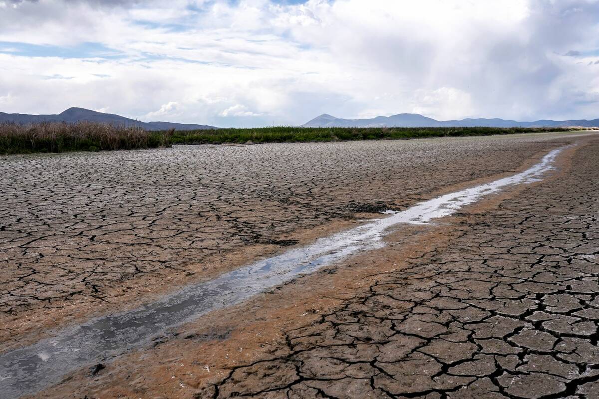 A small stream runs through the dried, cracked earth of a former wetland near Tulelake, Calif., ...