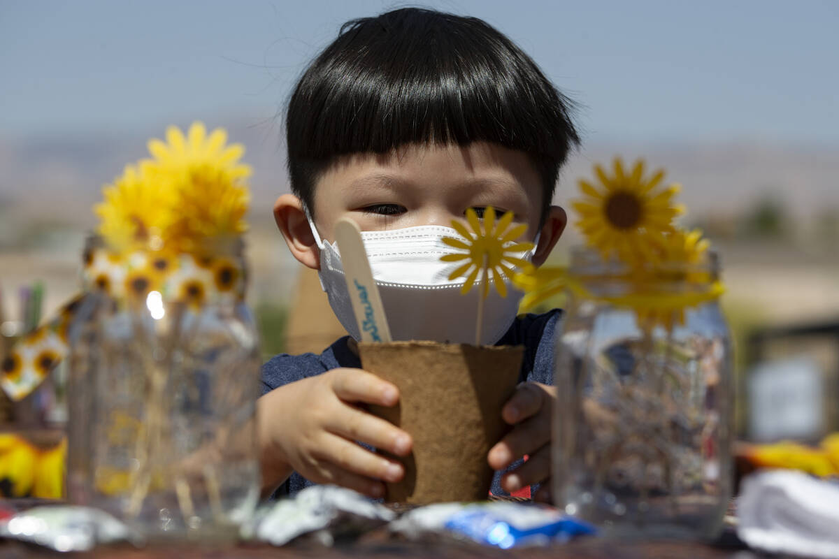 Leo Gillette, 4, plants a sunflower seed during a gardening expo at Tractor Supply Company on S ...