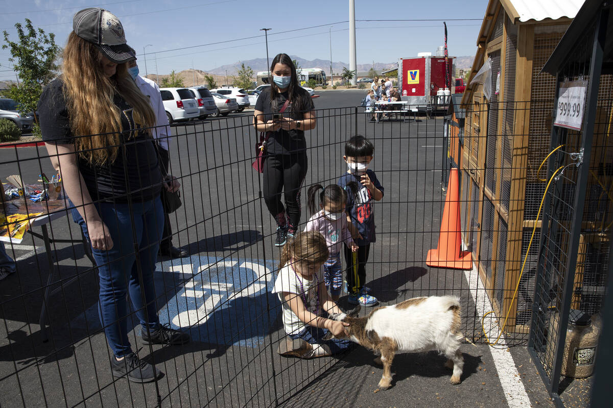 Families pet baby goats during a gardening expo at Tractor Supply Company on Saturday, April 30 ...