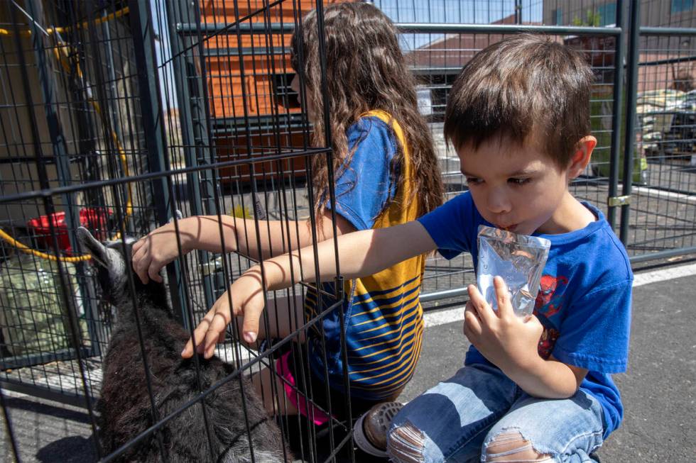 Broly Lemons, 4, and Lilly Lemons, 8, pet a goat during a gardening expo at Tractor Supply Comp ...
