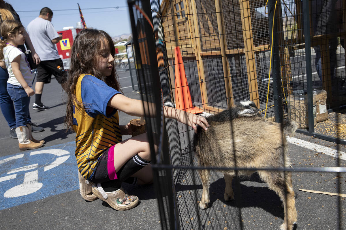 Lilly Lemons, 8, pets a goat during a gardening expo at Tractor Supply Company on Saturday, Apr ...