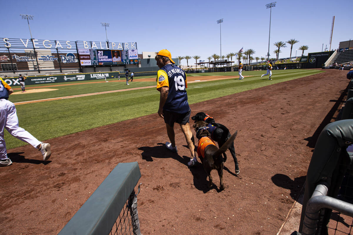 Fred Hassen, founder of Sit Means Sit dog training, walks with Las Vegas Aviator ...