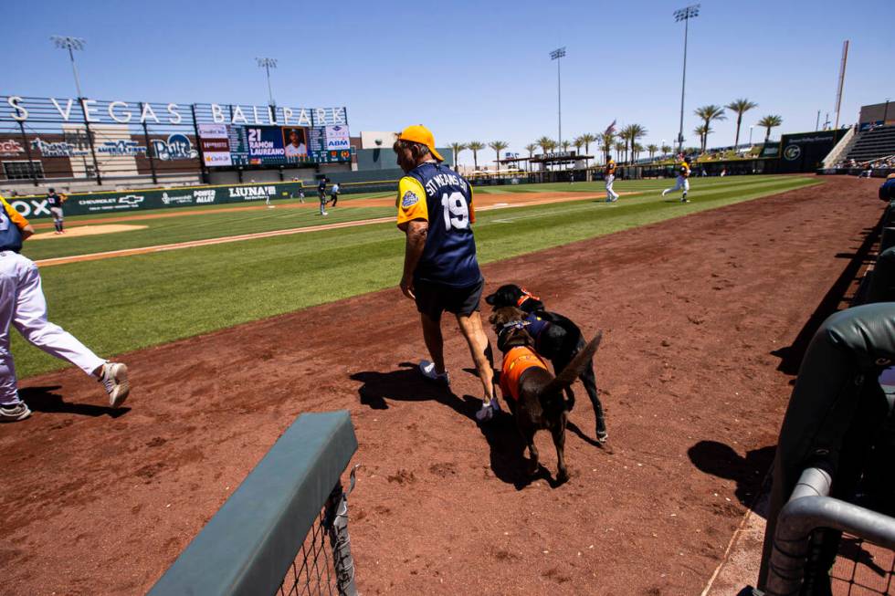 Fred Hassen, founder of Sit Means Sit dog training, walks with Las Vegas Aviator ...