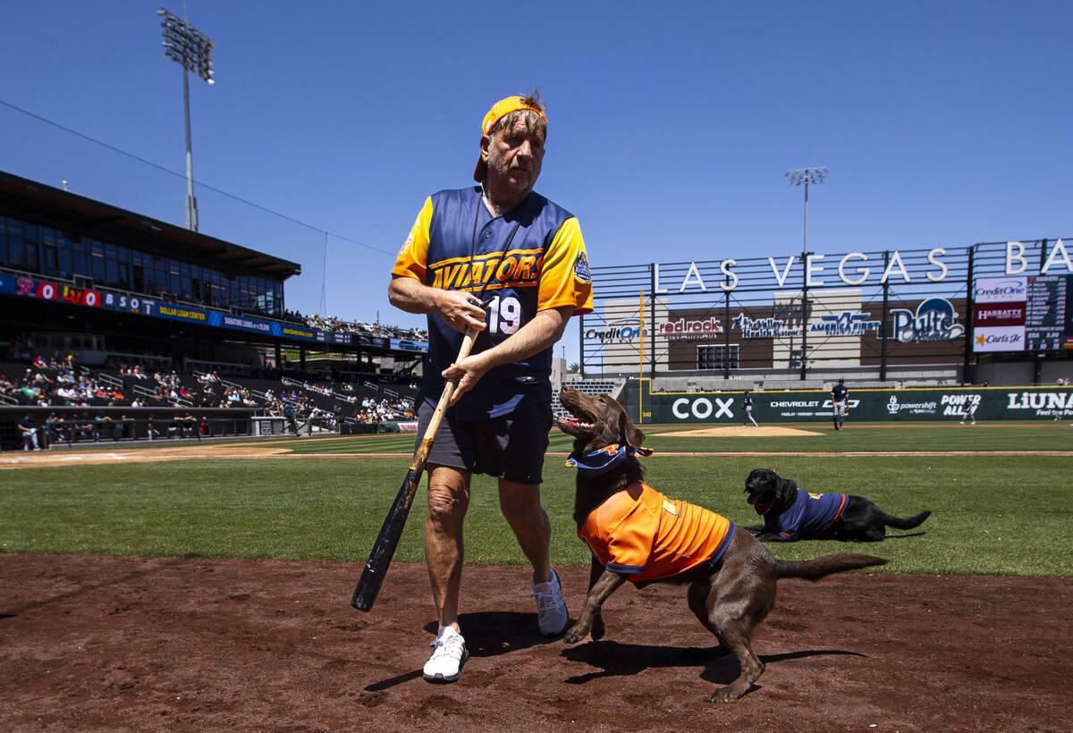 Las Vegas Aviators bat dog Lambo retrieves a baseball bat with Fred Hassen, ...
