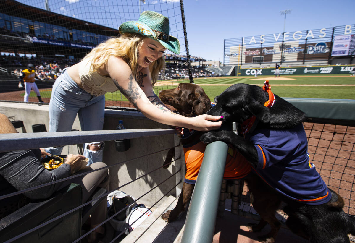 Marin Hanagan, of Las Vegas, greets Las Vegas Aviators bat dogs Lambo, center, a ...