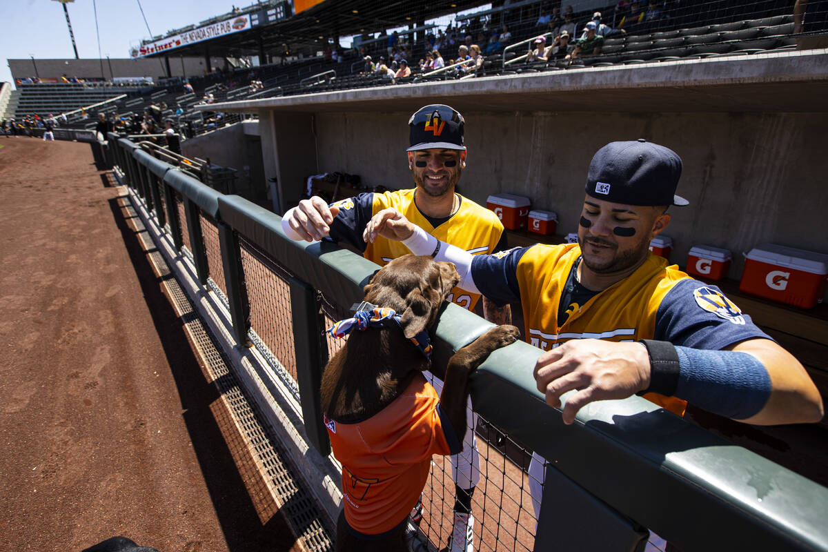 Aviators bat dog Lambo greets outfielder Luis Barrera, left, and second baseman Vimael Machin b ...