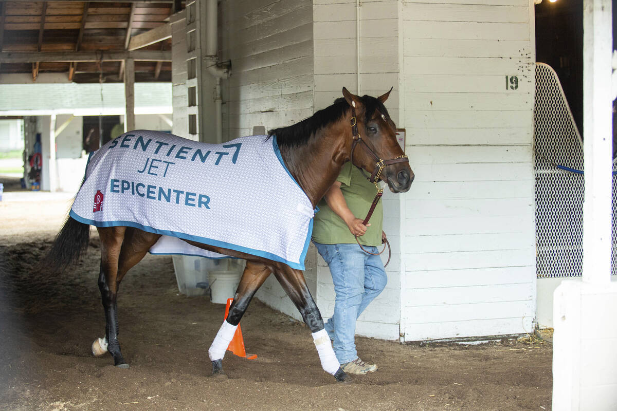 Kentucky Derby hopeful Epicenter is guided by barn foreman Julio Villaseca at Churchill Downs i ...