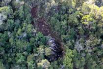 This is the scene where a tour helicopter crashed near the Na Pali Coast on the island of Kauai ...