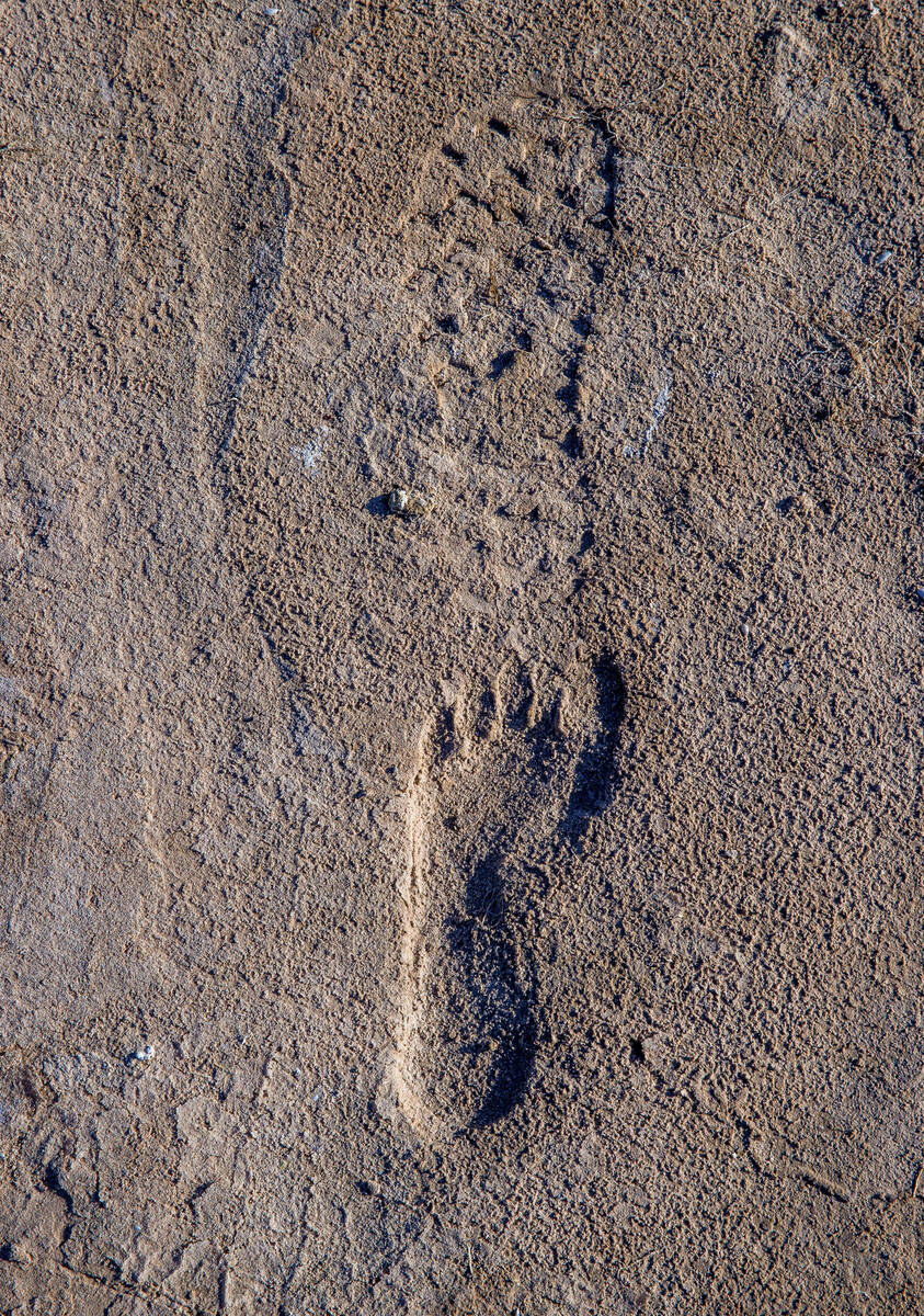 Footprints in the sand in Callville Bay along the shoreline of Lake Mead at the Lake Mead Natio ...