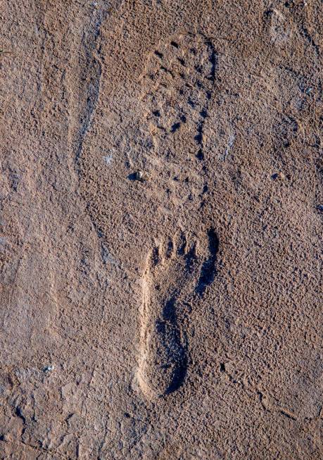Footprints in the sand in Callville Bay along the shoreline of Lake Mead at the Lake Mead Natio ...