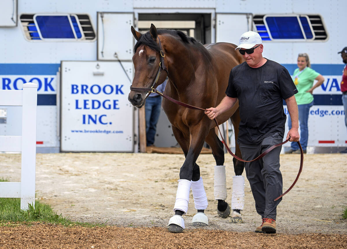 Kentucky Derby runner up and Preakness favorite Epicenter arrives, Tuesday, May 17, 2022 at Pim ...