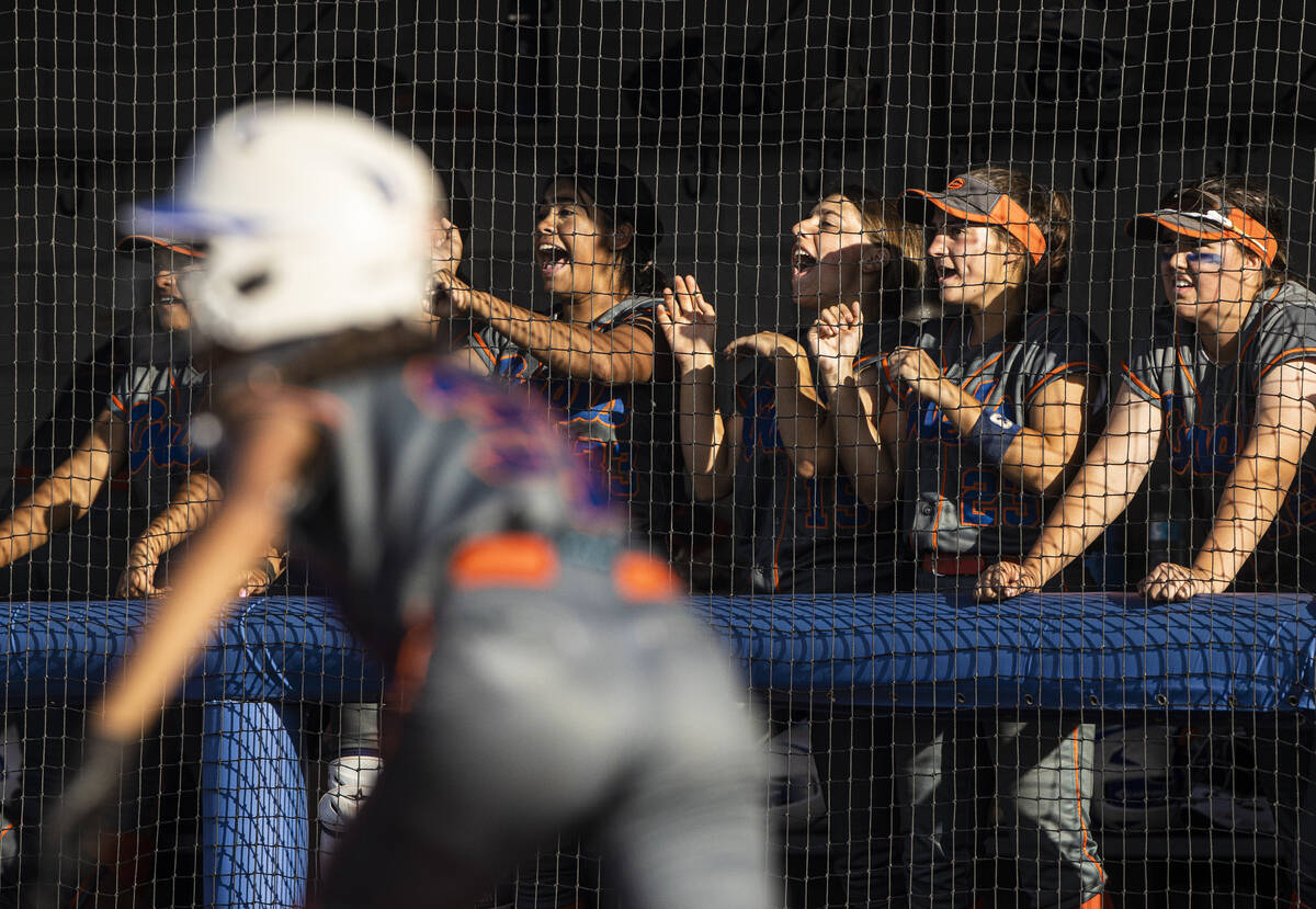 Bishop Gorman’s bench cheers on the Gaels during a Class 4A state softball tournament ga ...