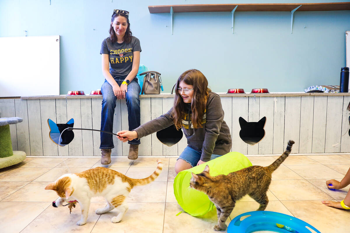 Jessica Sorensen, left, watches her daughter Lacey Sorensen, 9, play with cats at the Cat Cafe ...