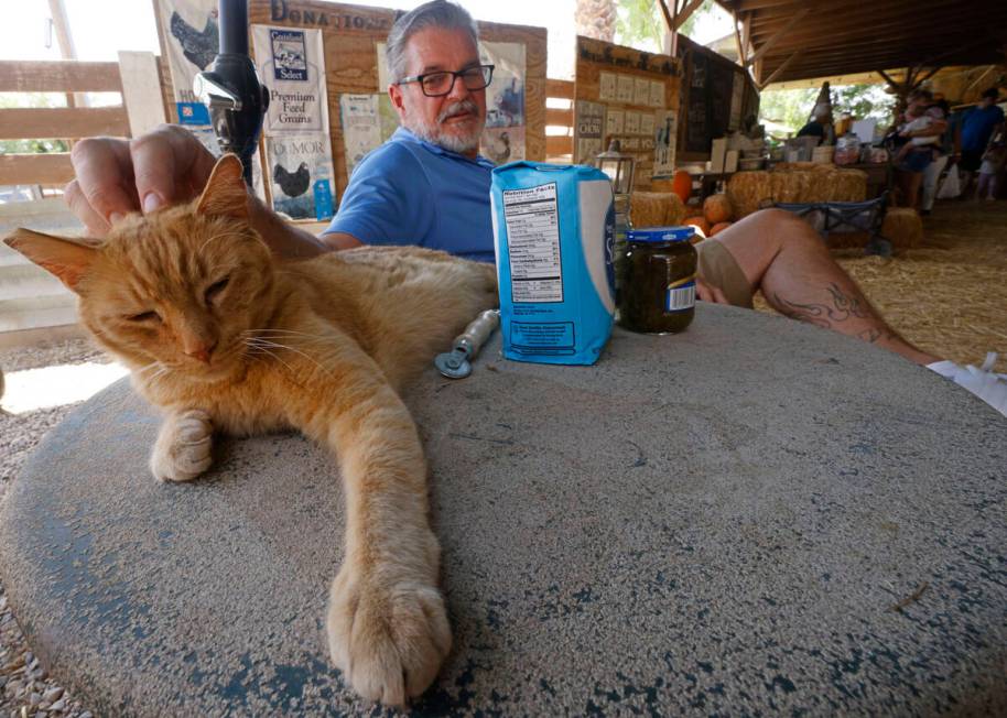 Customer Bruce Barnes of Las Vegas pets Swiss, a rescue cat, at The Las Vegas Farm in Las Vegas ...