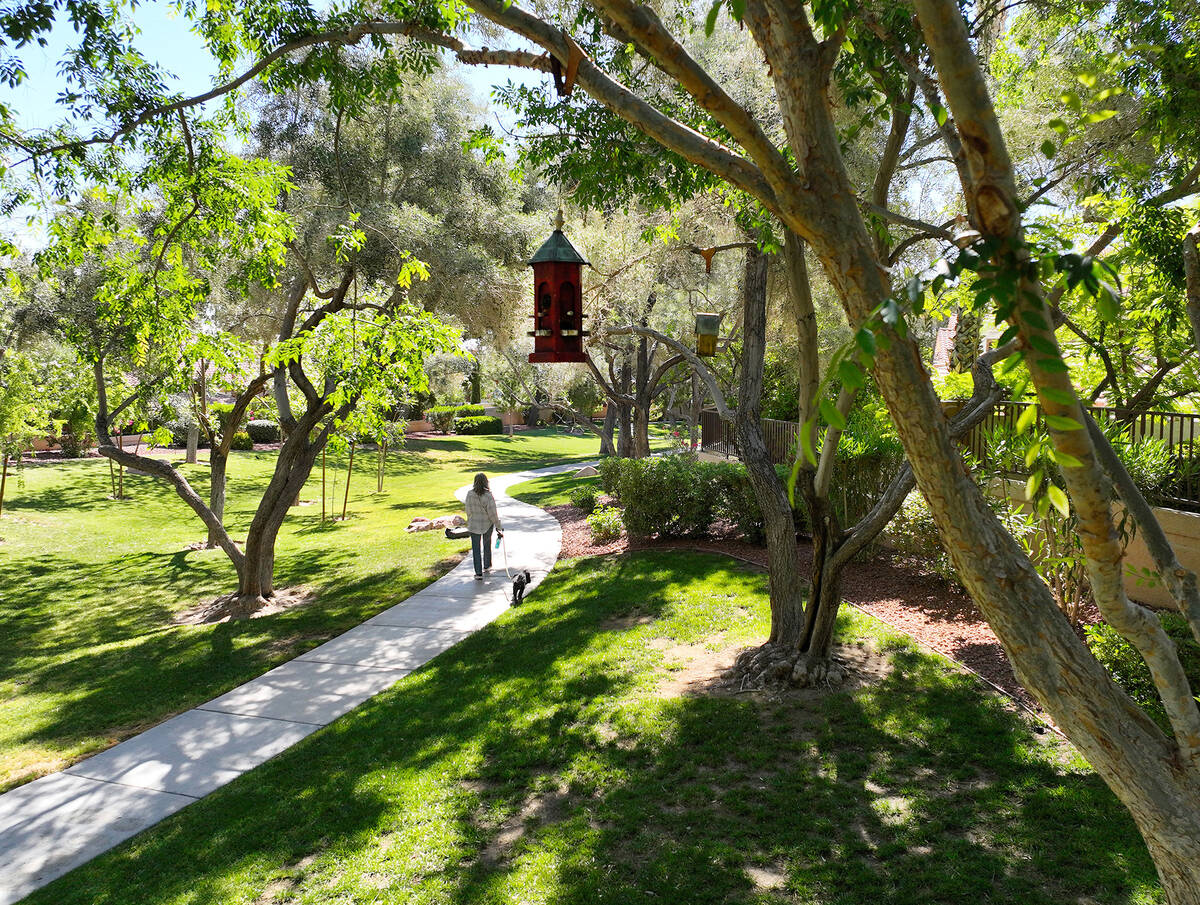 A woman walking with her dog past birdhouses hanging on a tree along a walking trail in Peccole ...
