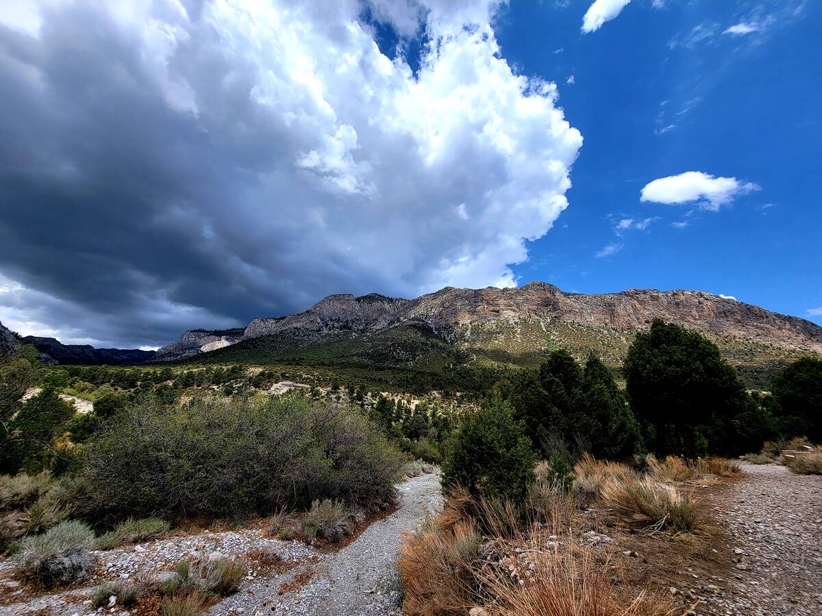 Dramatic clouds and mountain vistas are part of the package on Mount Charleston's Acastus Trail ...