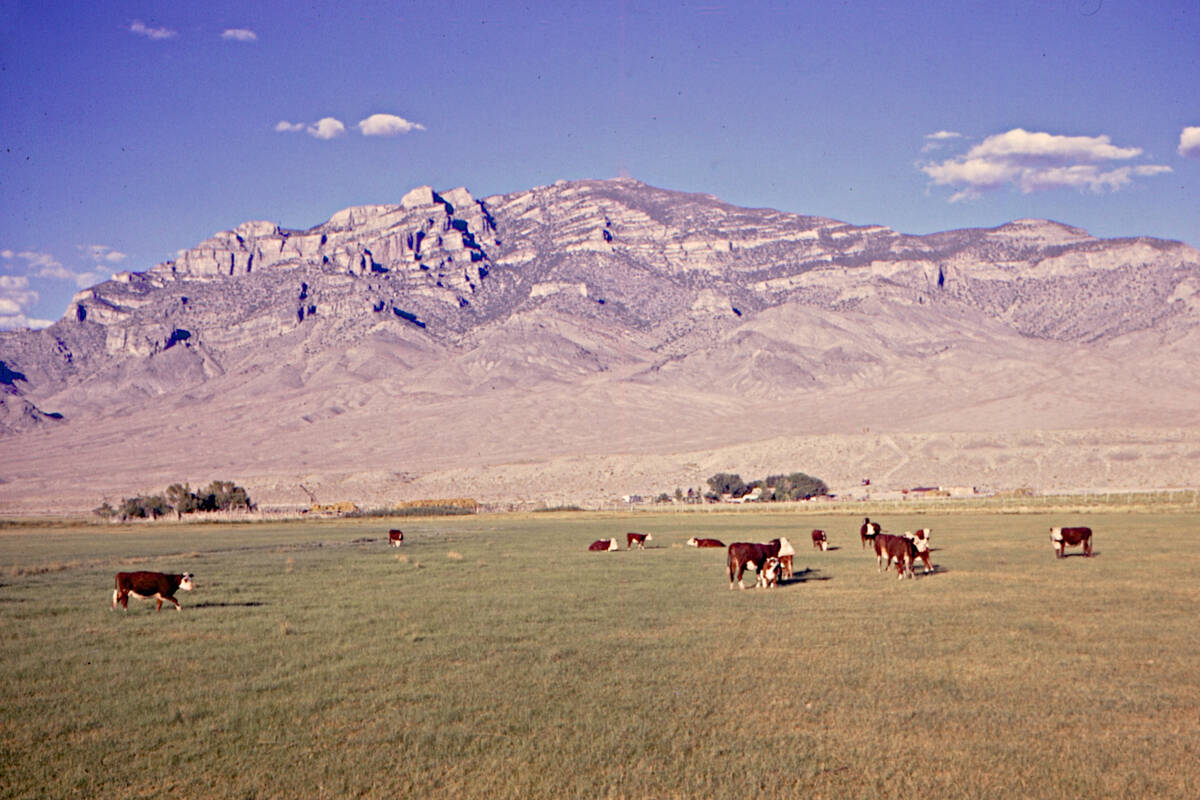 Blue Eagle Ranch in 1964, with Blue Eagle Mountain rising in the background. (Jeanne Sharp Howe ...