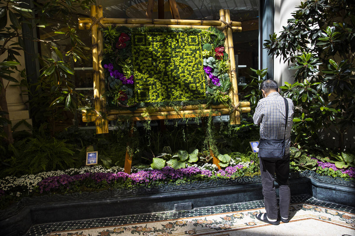 A man looks at a QR code is displayed at the Bellagio Conservatory as part of the a loyalty pro ...