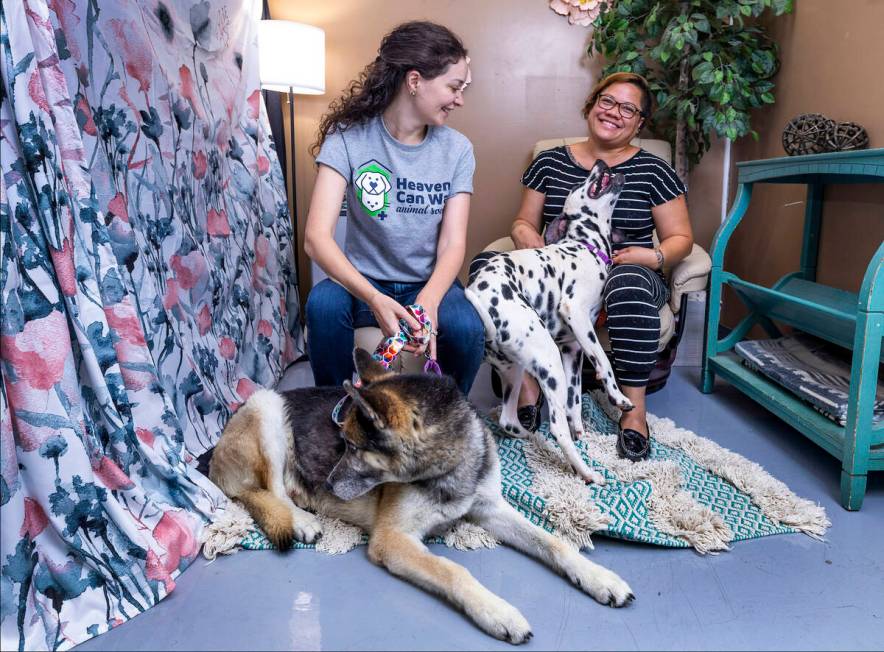 Francesca Fulciniti, left, with Champ and Kiley Esprecion with Spud at the Heaven Can Wait Anim ...