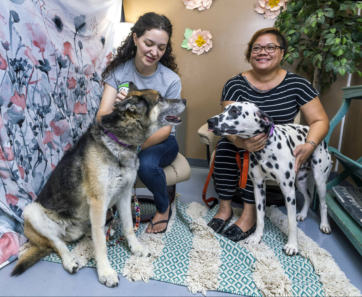 Francesca Fulciniti, left, with Champ and Kiley Esprecion with Spud at the Heaven Can Wait Anim ...