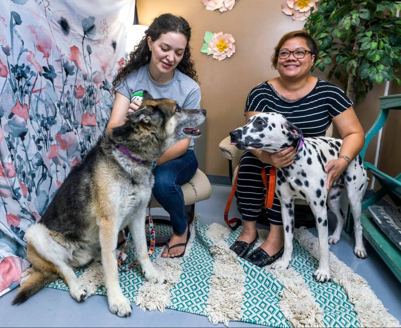 Francesca Fulciniti, left, with Champ and Kiley Esprecion with Spud at the Heaven Can Wait Anim ...