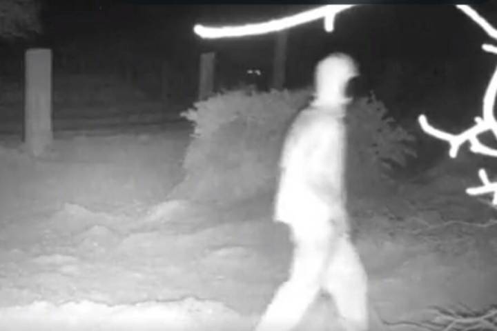 Video image of suspect in horse deaths. (LVMPD via Twitter)