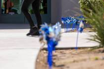 Pinwheels are planted outside the within the Clark County Family Court & Services Campus on ...