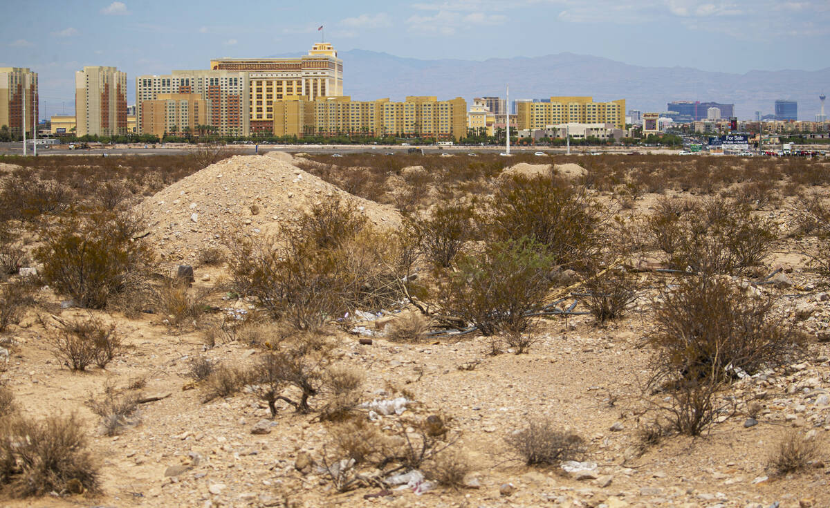 A portion of 126 acres at the southwest corner of Las Vegas Boulevard and Cactus Avenue, which ...