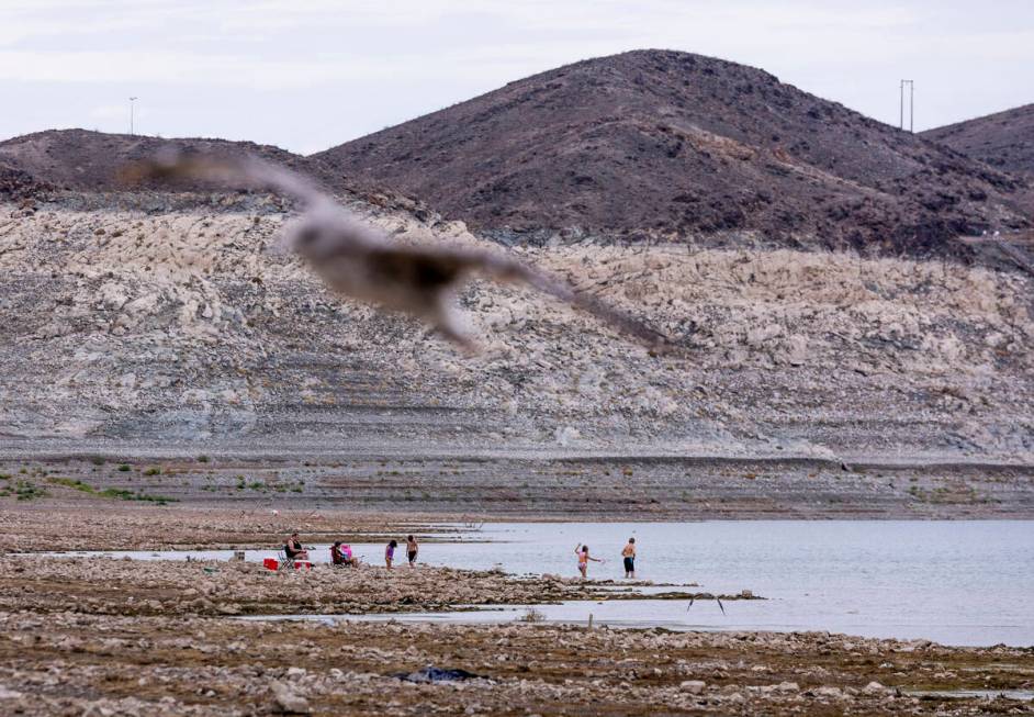 People enjoy Boulder Beach up the waterline where a body was found at Swim Beach within the Lak ...