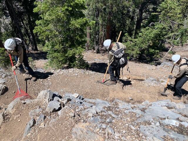 Minors from Spring Mountain Youth Camp work on Mount Charleston in 2019. (Spring Mountain Youth ...