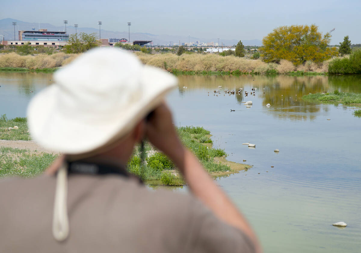 John Taylor, lead recreation assistant at the Henderson Bird Viewing Preserve, watches birds at ...