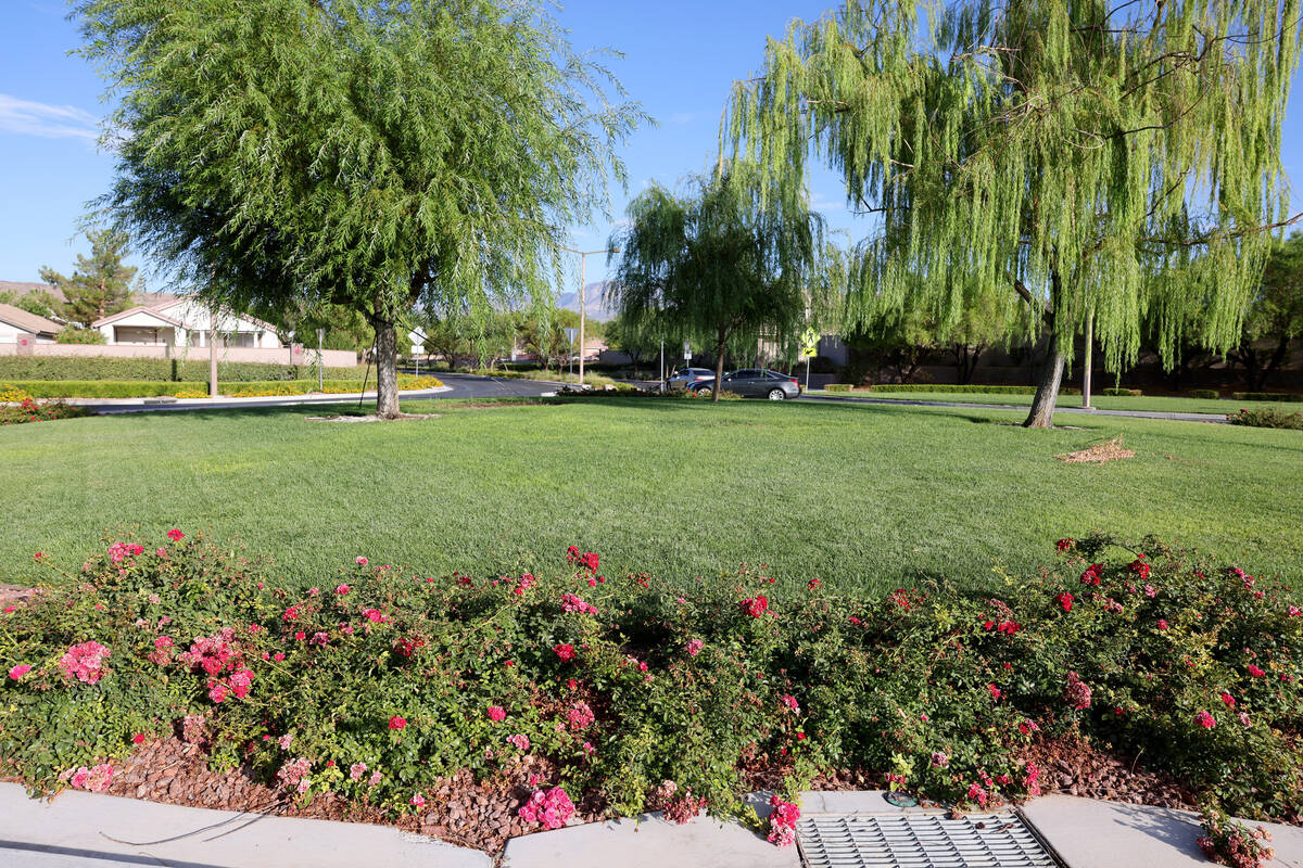 Grass in a roundabout at Desert Marigold and Desert Primrose lanes in Summerlin in Las Vegas Tu ...