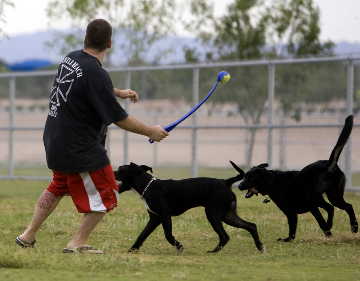 Kyle Gallegos of Las Vegas prepares to throw a ball for his dog Diesel, left and an unidentifie ...
