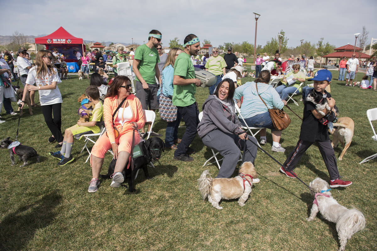 Owners and their dogs participate in the musical chairs event during the 19th annual Wag-A-Tail ...