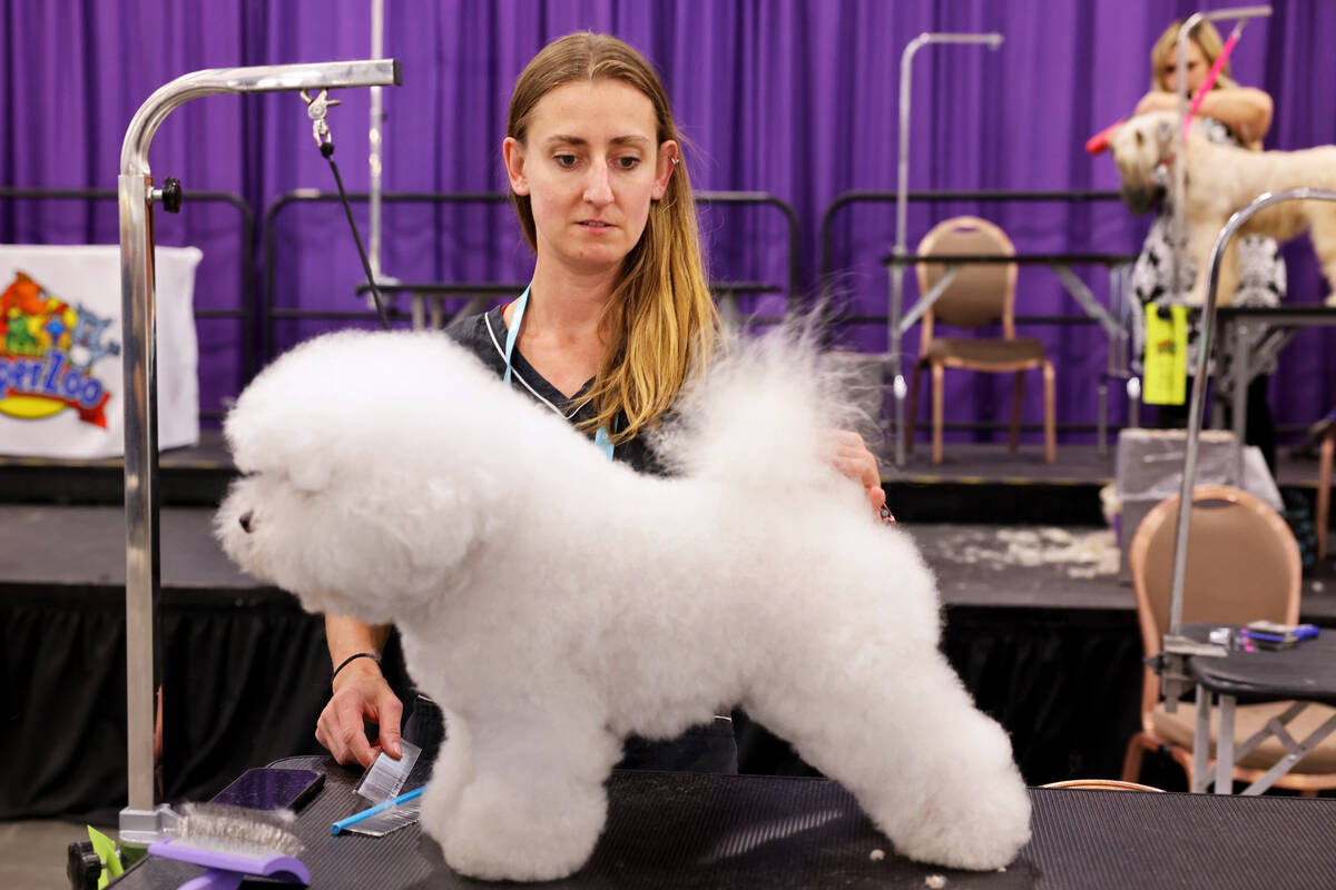Klaudia Pierowsku of Evergreen, Colo. and other grooming contestants compete during the SuperZo ...