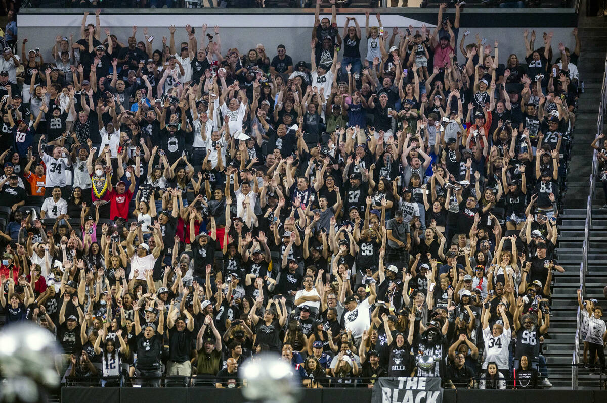 Raiders fans celebrate another score versus the New England Patriots during the second half of ...