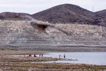 Lake Mead's summer rise has exceeded 3 feet during the past month, reaching 1,043.86 feet above ...