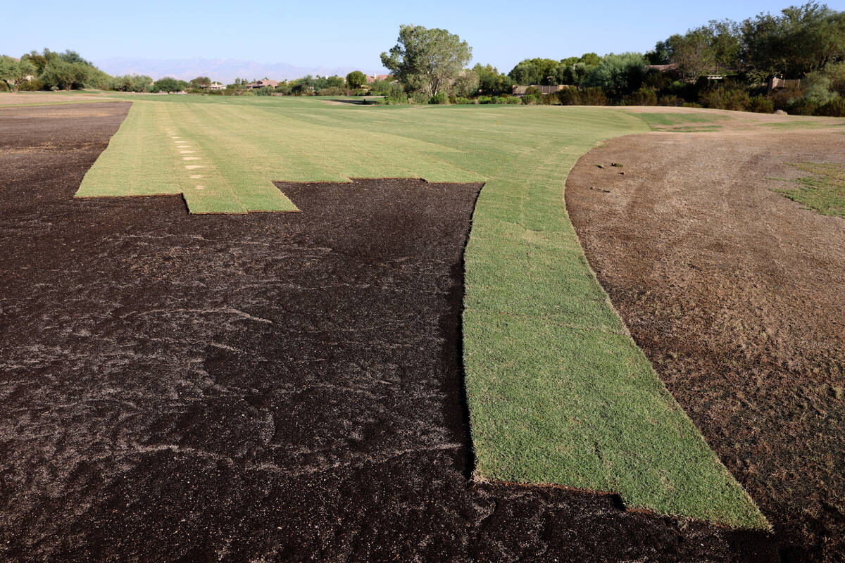 Bandera Bermuda grass in the process of being laid on the 12th fairway at Anthem Country Club i ...