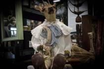 An exhibit from the Oddities & Curiosities Expo, which will be in Las Vegas on Saturday, Sept. ...