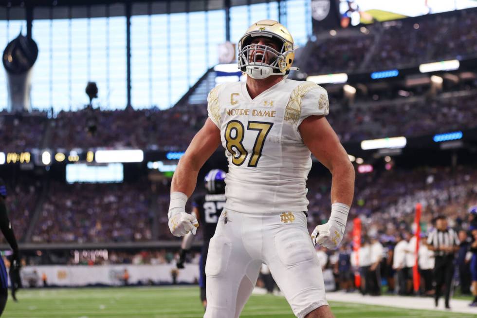 Notre Dame Fighting Irish tight end Michael Mayer (87) celebrates a touchdown catch during the ...