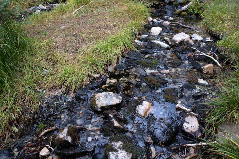 A stream rushes downhill in Great Basin National Park on Saturday, Sept. 10, 2022, near Baker, ...