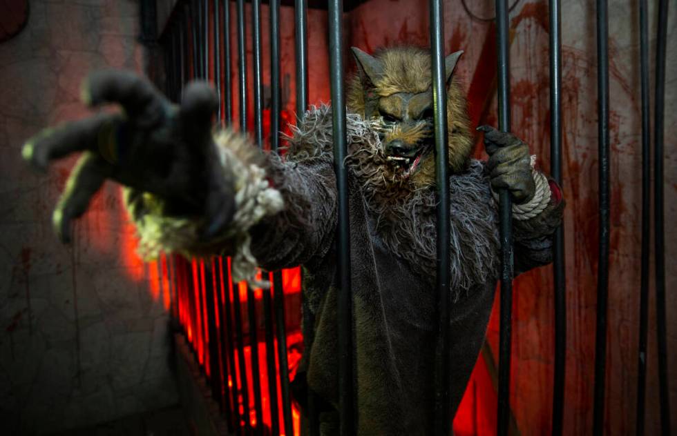 Hard Time the werewolf attempts to grab his next victim within the Castle Vampyre haunted house ...