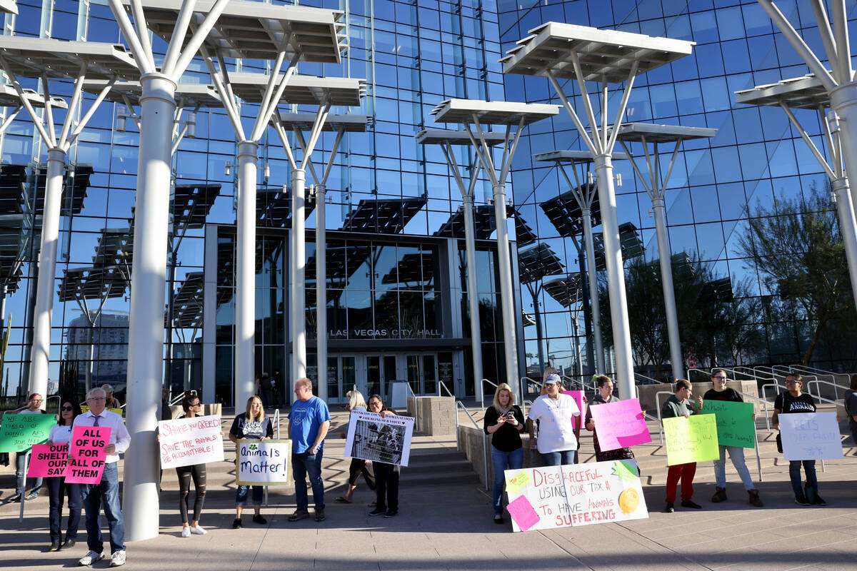 Protesters of The Animal Foundation shelter in front of Las Vegas City Hall before a City Counc ...