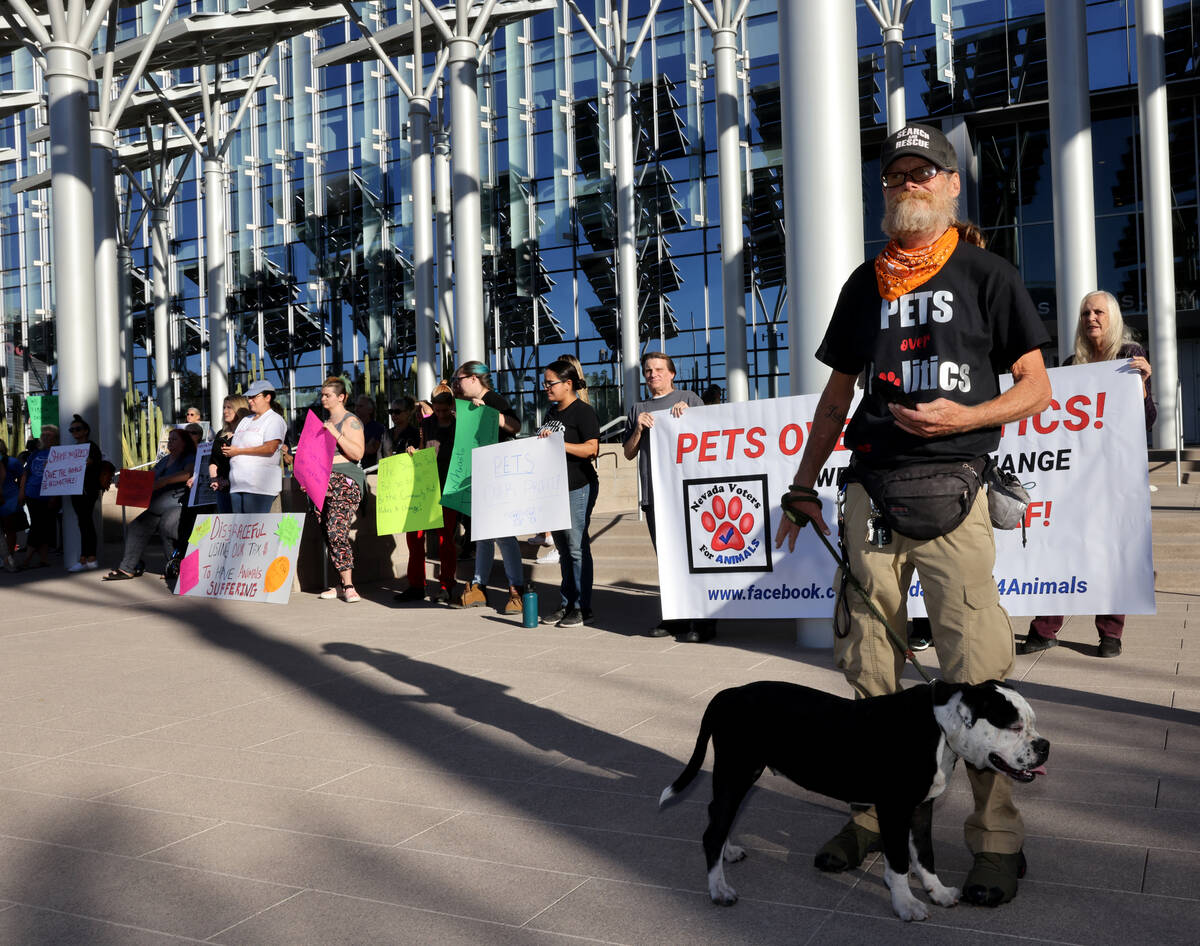 Protesters of The Animal Foundation shelter, including Kelly Winder with an unnamed stray dog, ...