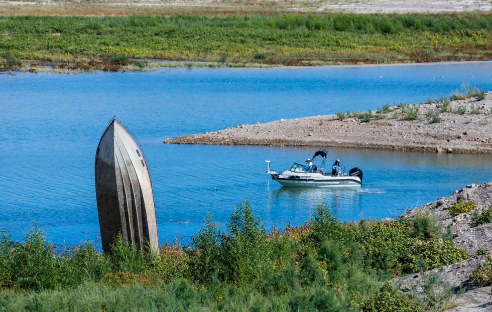 Bait fish are caught about the boat still pointing skyward surrounded now by greenery and water ...