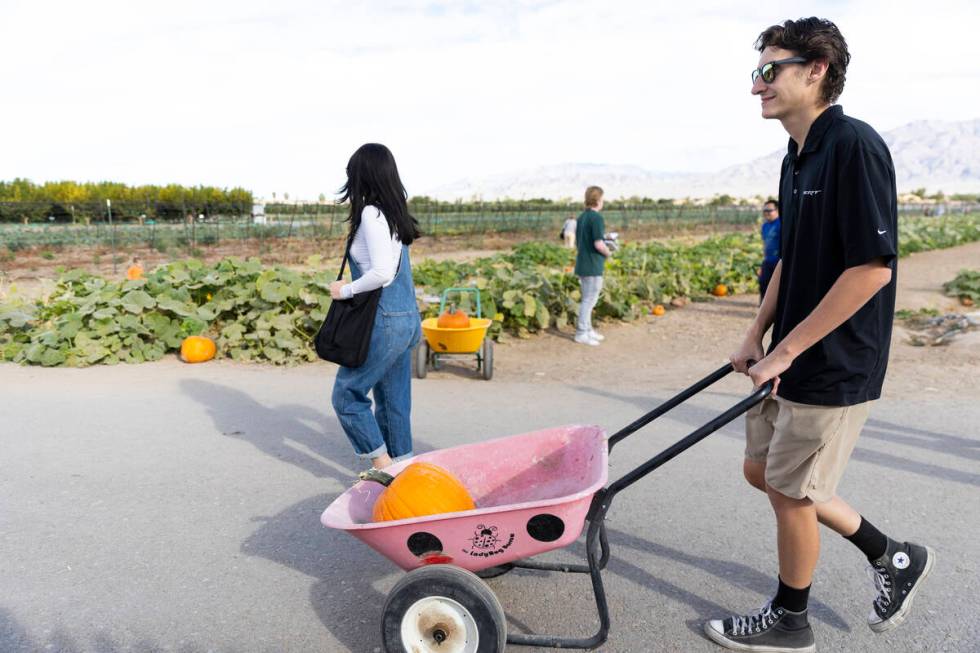 Summer Hall, left, and her husband James, visit Gilcrease Orchard in Las Vegas, Thursday, Oct. ...