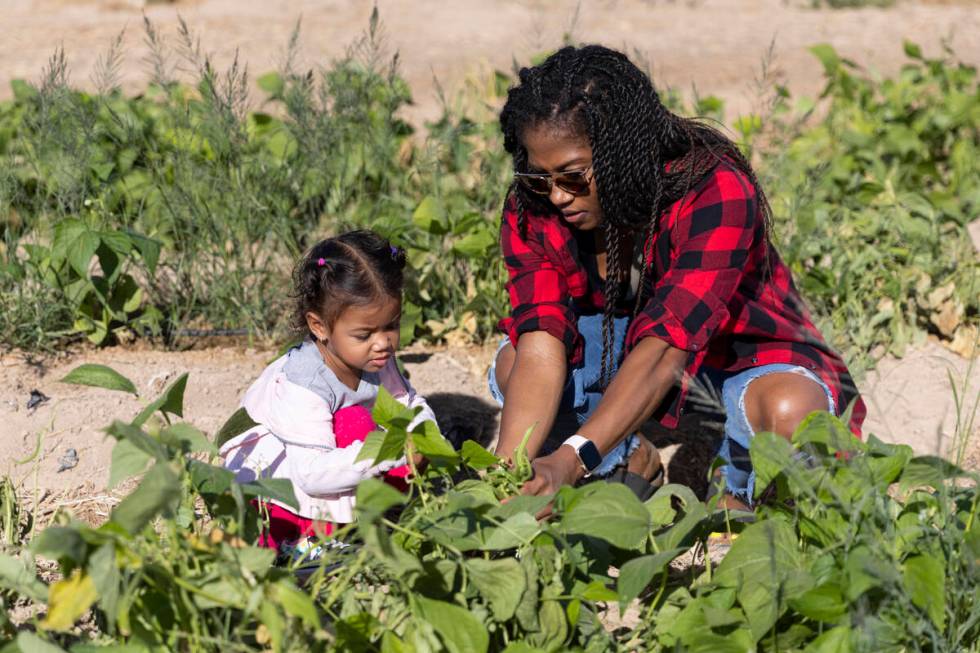 Layla Henline, 2, with her aunt Liana Loe, pick green beans while visitig Gilcrease Orchard in ...