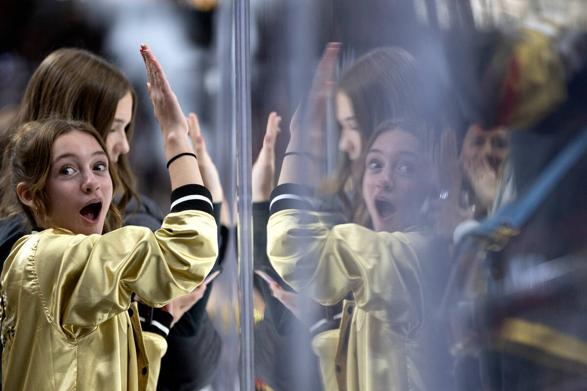 A Golden Knights fan celebrates a goal scored by center Nicolas Roy (10) during the second peri ...