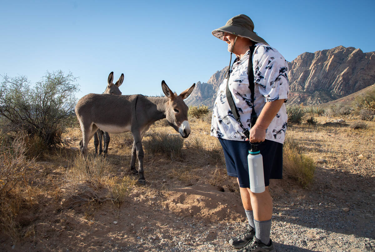 William Miller, 65, observes a couple of wild burros during an early morning hike at the First ...